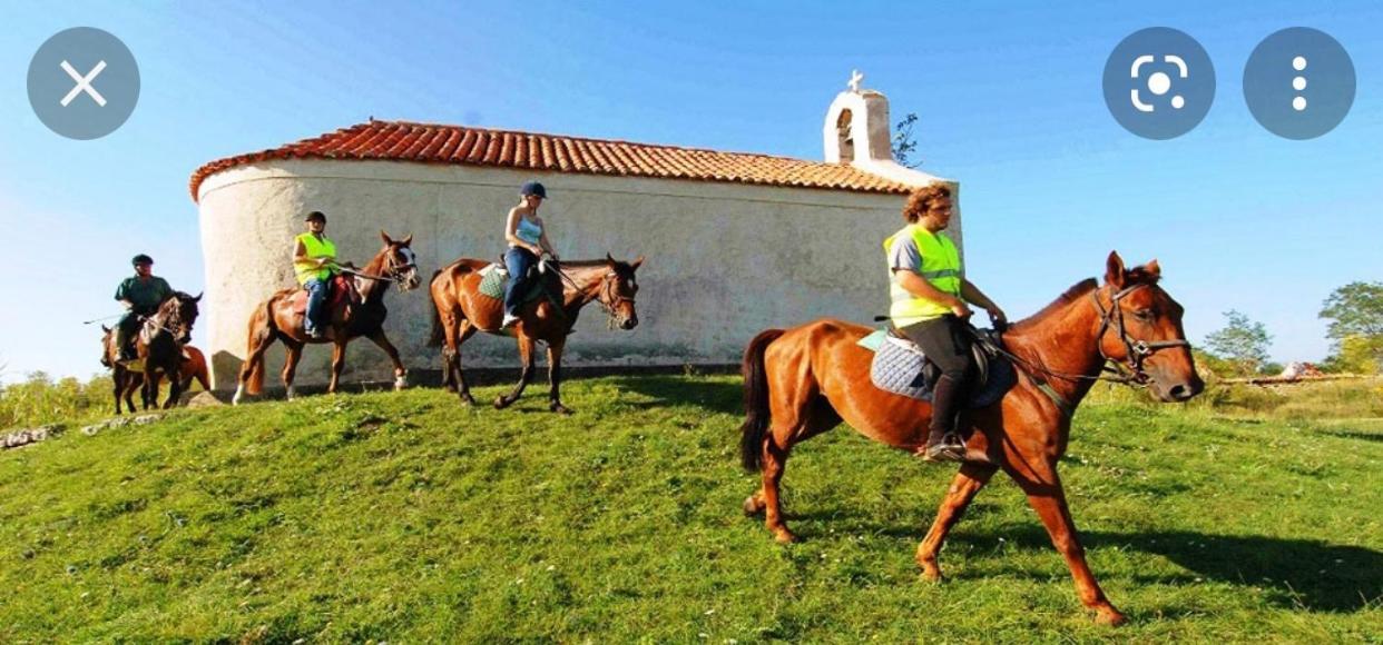 Villa Panta Zadar Ngoại thất bức ảnh